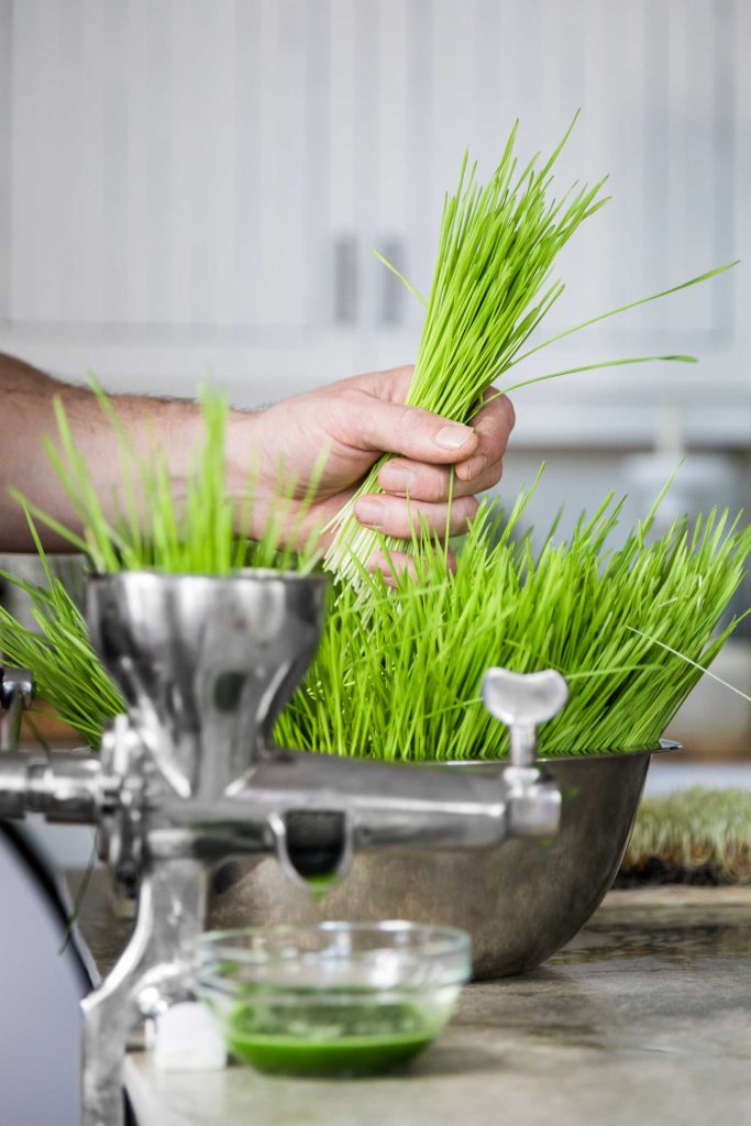 A person is holding a bunch of fresh green wheatgrass above a bowl, with a juicer and a small container of green juice visible in the foreground. The setting appears to be a kitchen.