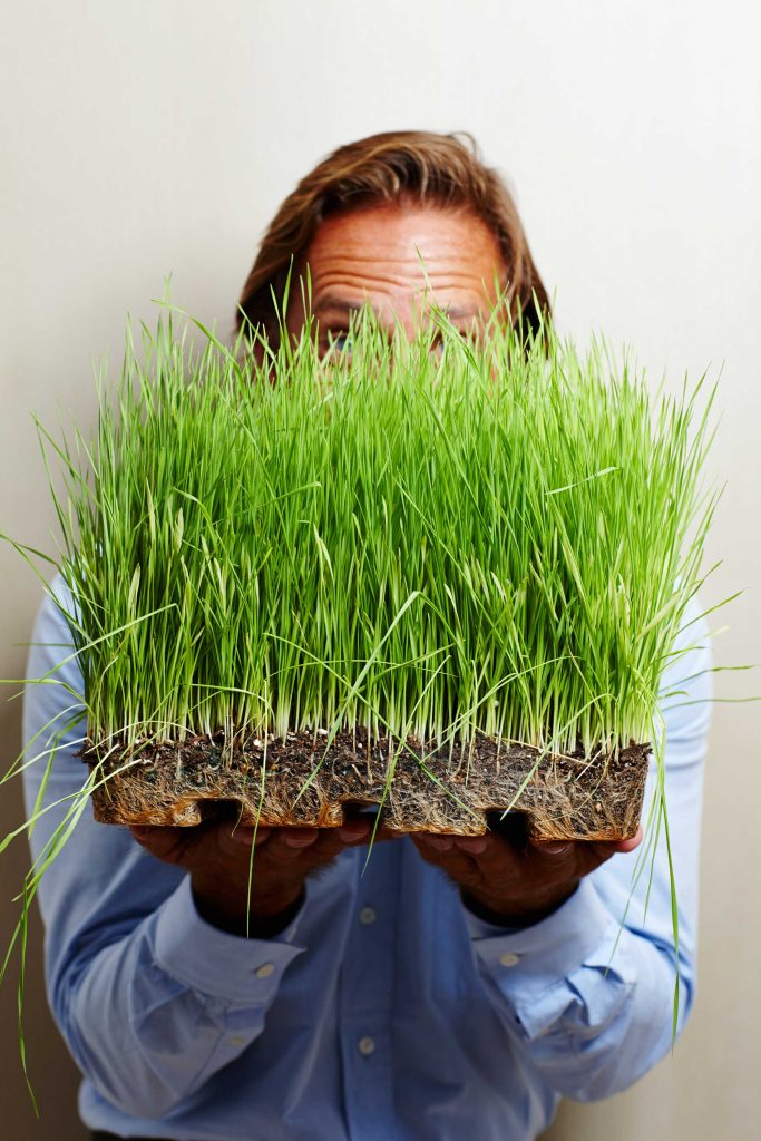 A person holds a tray filled with vibrant green grass, partially obscuring their face. The setting appears to be indoors, with a neutral background.